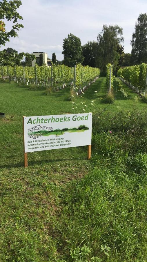 Achterhoeks Goed, Bed & Breakfast In Vragender Exterior foto